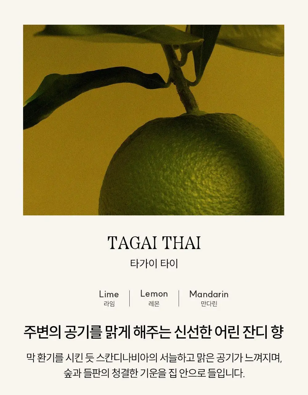 [그린/생화향] 코칸 오브제 디퓨저 170ml 목련 상세페이지 29